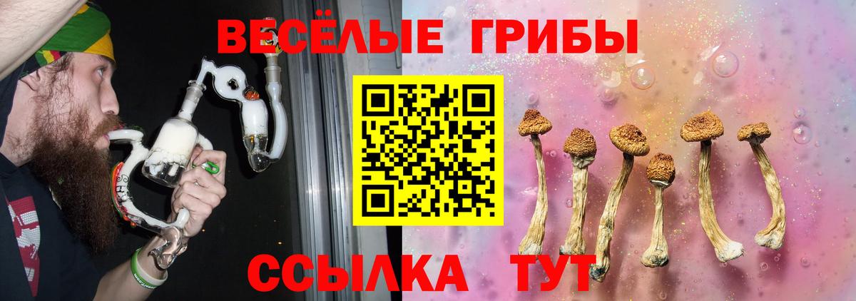 Ишим  Галлюциногенные грибы MAGIC MUSHROOMS  Вход с VPN 